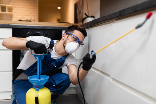 Best Pest Prevention Services  in Dahlone, GA