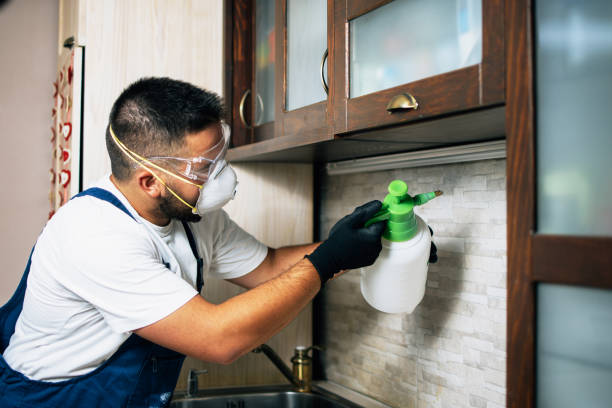 Best Best Pest Control Companies  in Dahlone, GA