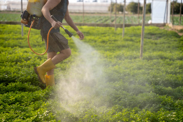 Best Affordable Exterminators  in Dahlone, GA