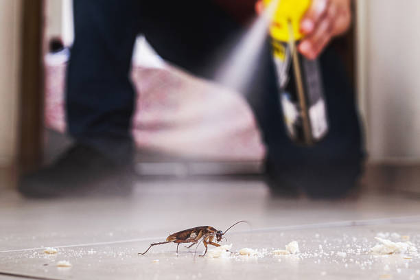 Best Residential Pest Control  in Dahlone, GA