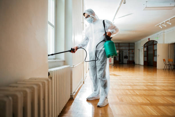 Best Flea Control Services  in Dahlone, GA