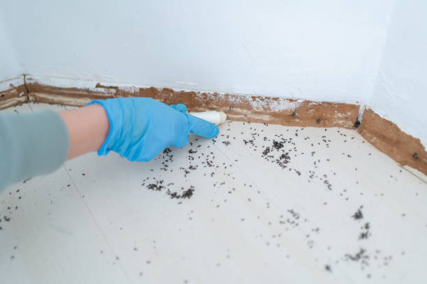Best Residential Pest Control  in Dahlone, GA