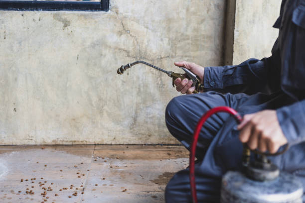 Best Emergency Pest Control  in Dahlone, GA